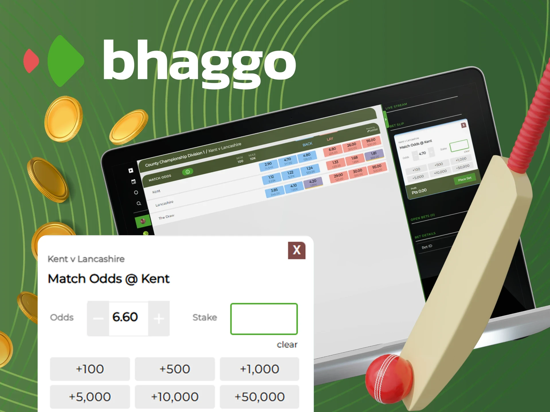 How to place a cricket bet at Bhaggo.