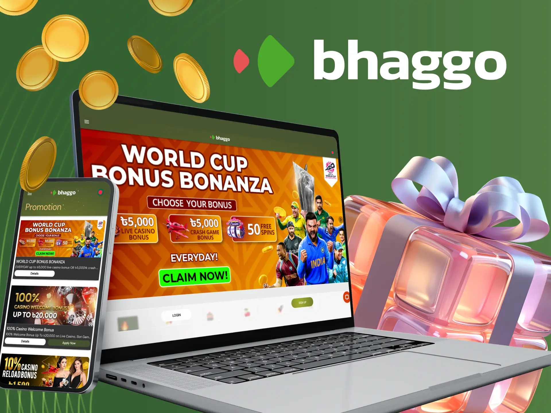 Conclusion about bonus information at Bhaggo.
